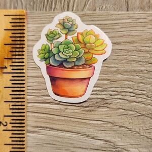 10/$10 Succulent Plant Sticker Gardening Cacti Grow